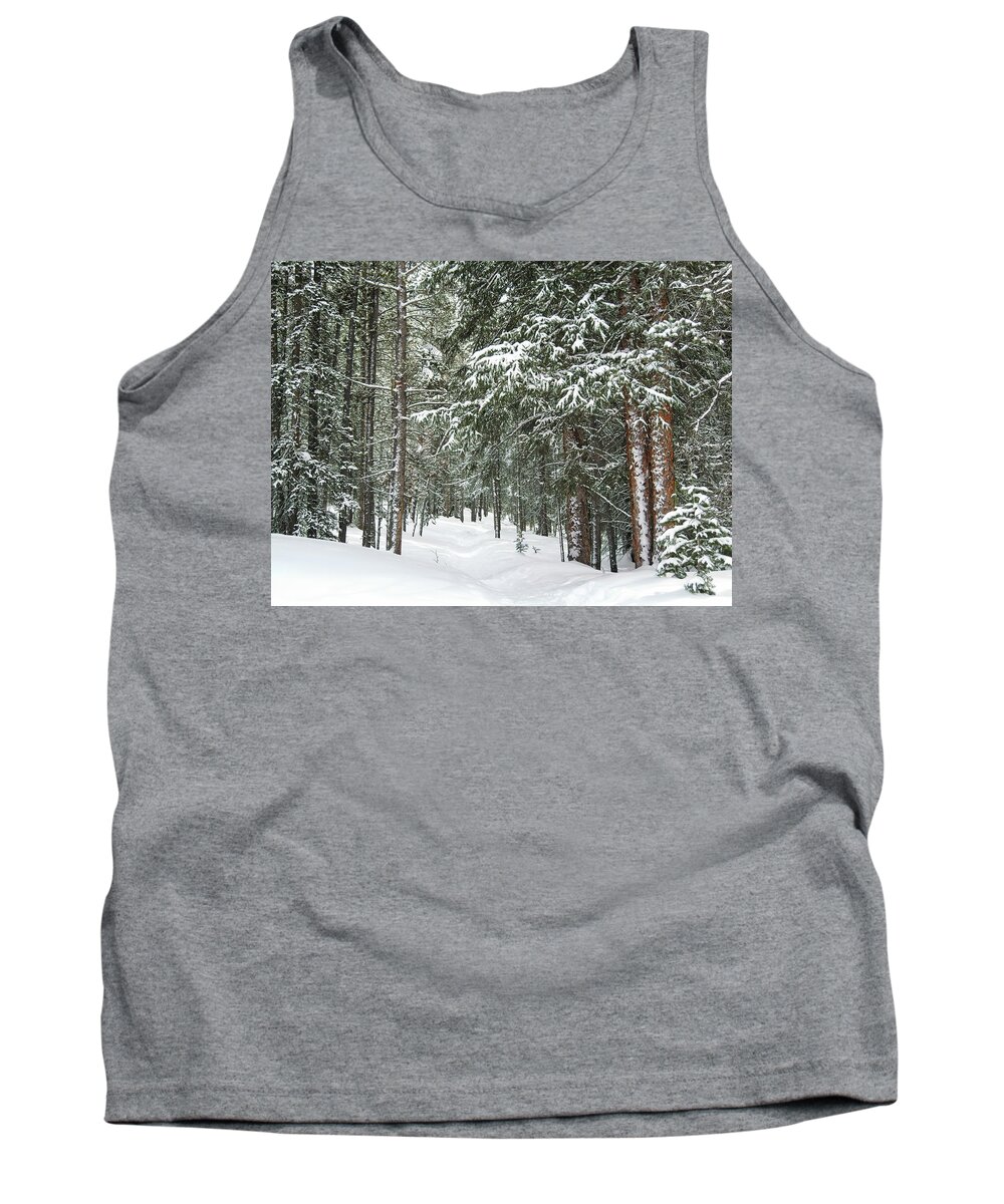 Forest Tank Top featuring the photograph Woods in Winter by Eric Glaser