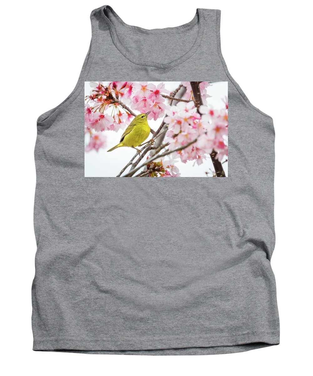 Spring Tank Top featuring the photograph Yellow Bird by Brian Knott Photography