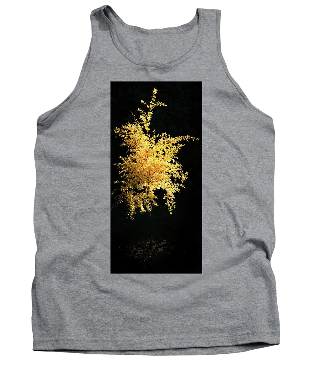 Agriculture Tank Top featuring the photograph Yellow pomegranate tree on a dark background. by Jean-Luc Farges