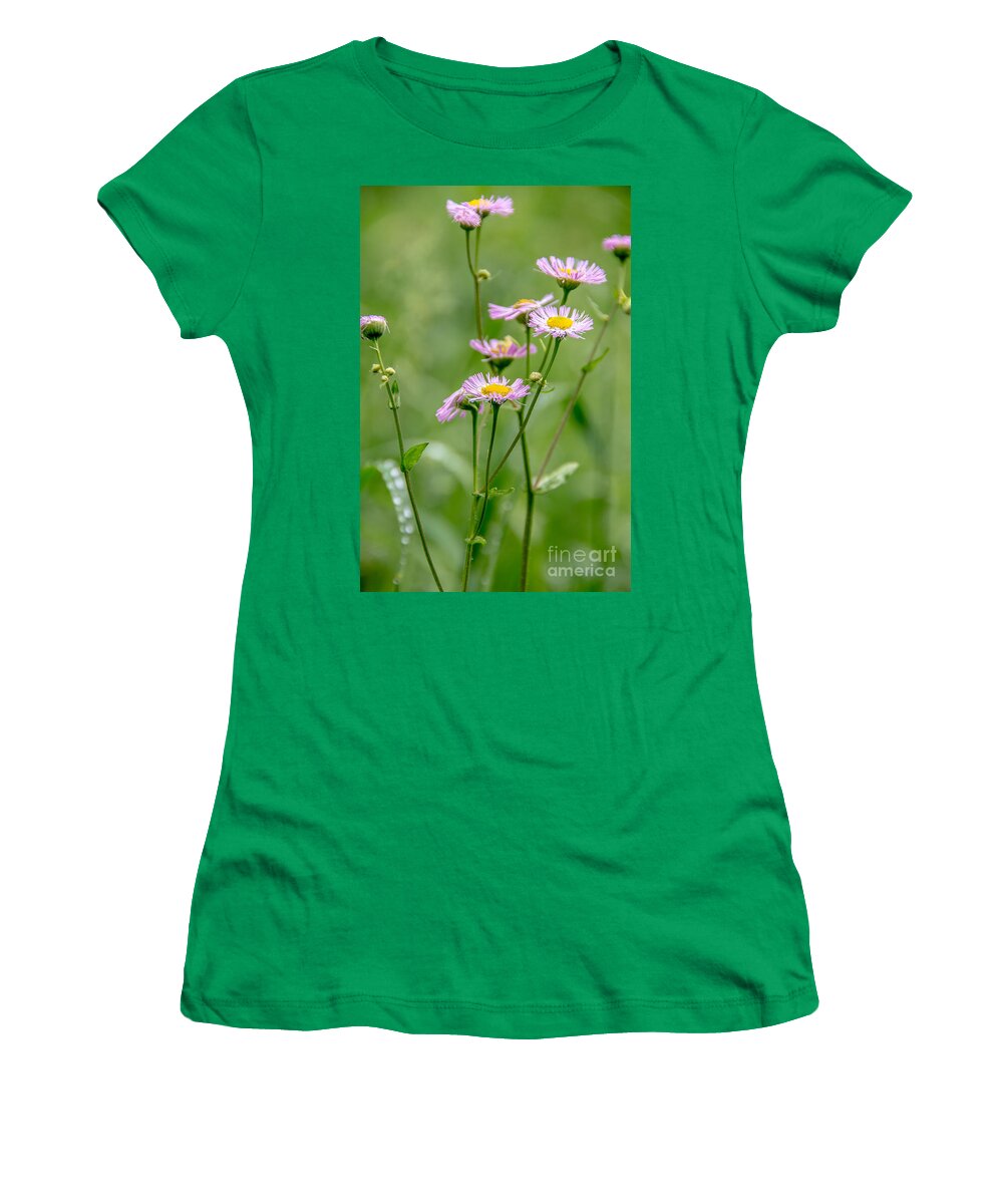 Landscape Women's T-Shirt featuring the photograph Wild Pink Asters by Cheryl Baxter