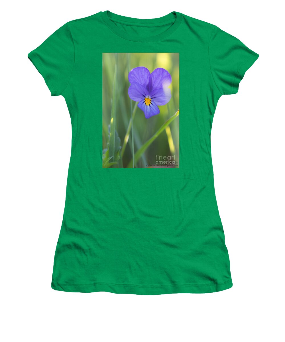 Bulgaria Women's T-Shirt featuring the photograph 01 Heart's Ease Wild Viola #1 by Jivko Nakev