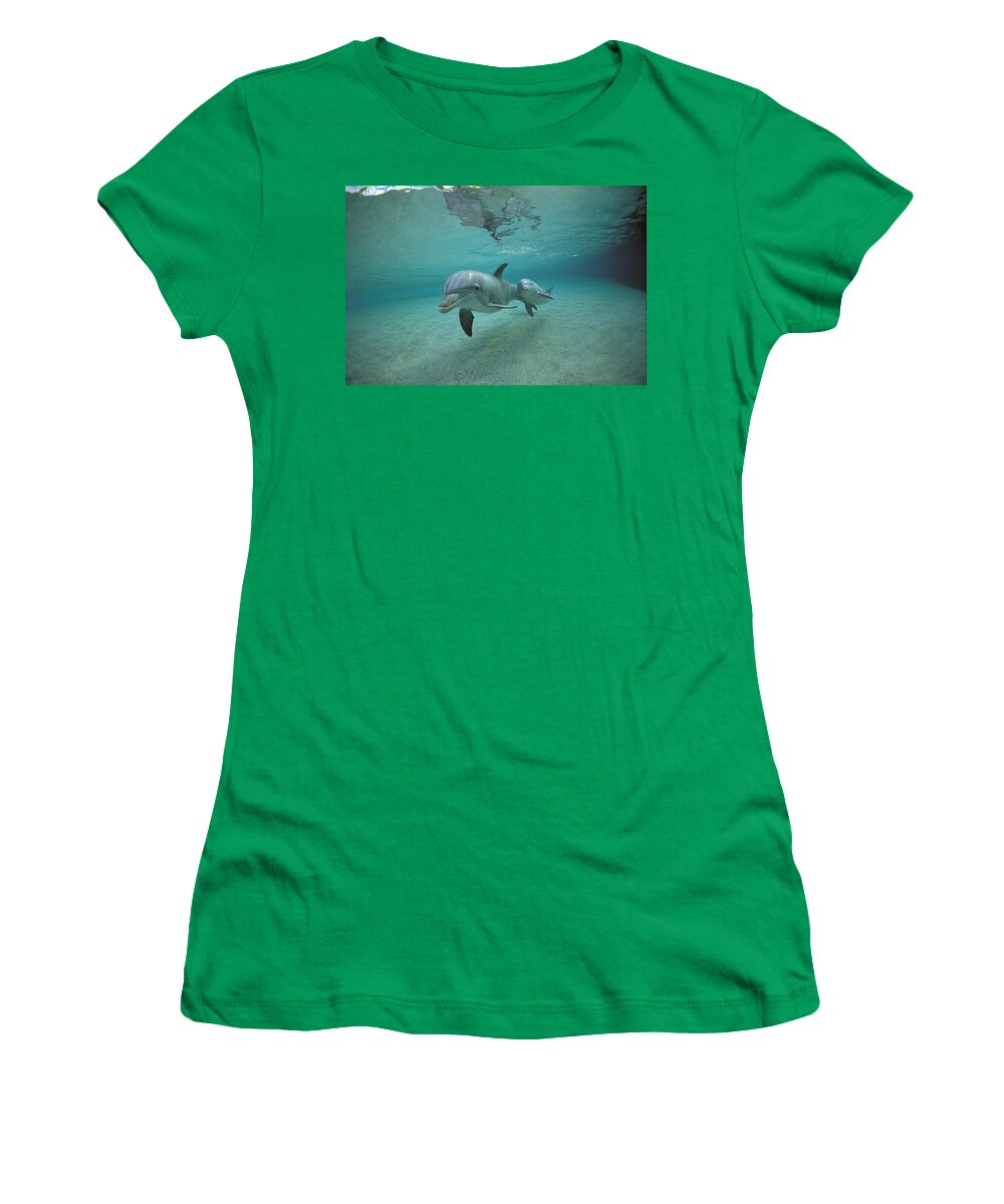 Feb0514 Women's T-Shirt featuring the photograph Bottlenose Dolphin Mother And Young #1 by Flip Nicklin