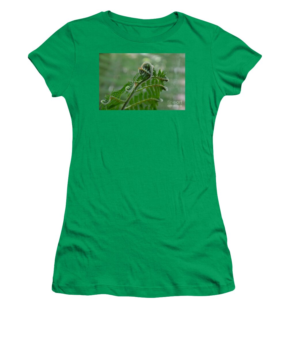 Fern Women's T-Shirt featuring the photograph Fiddle Fern #1 by Robert Meanor