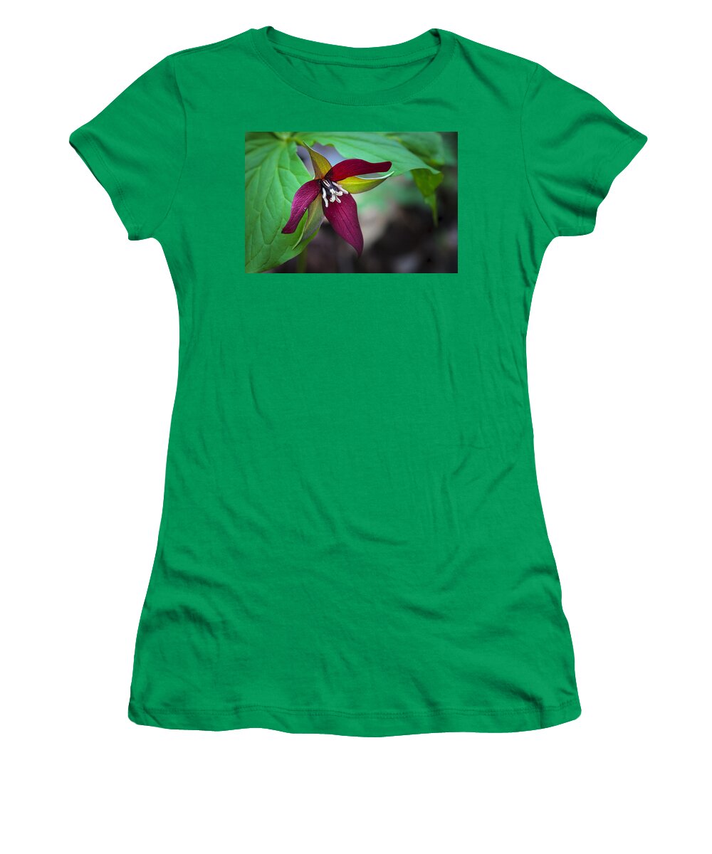 Beauty Women's T-Shirt featuring the photograph Red Trillium #1 by Jack R Perry