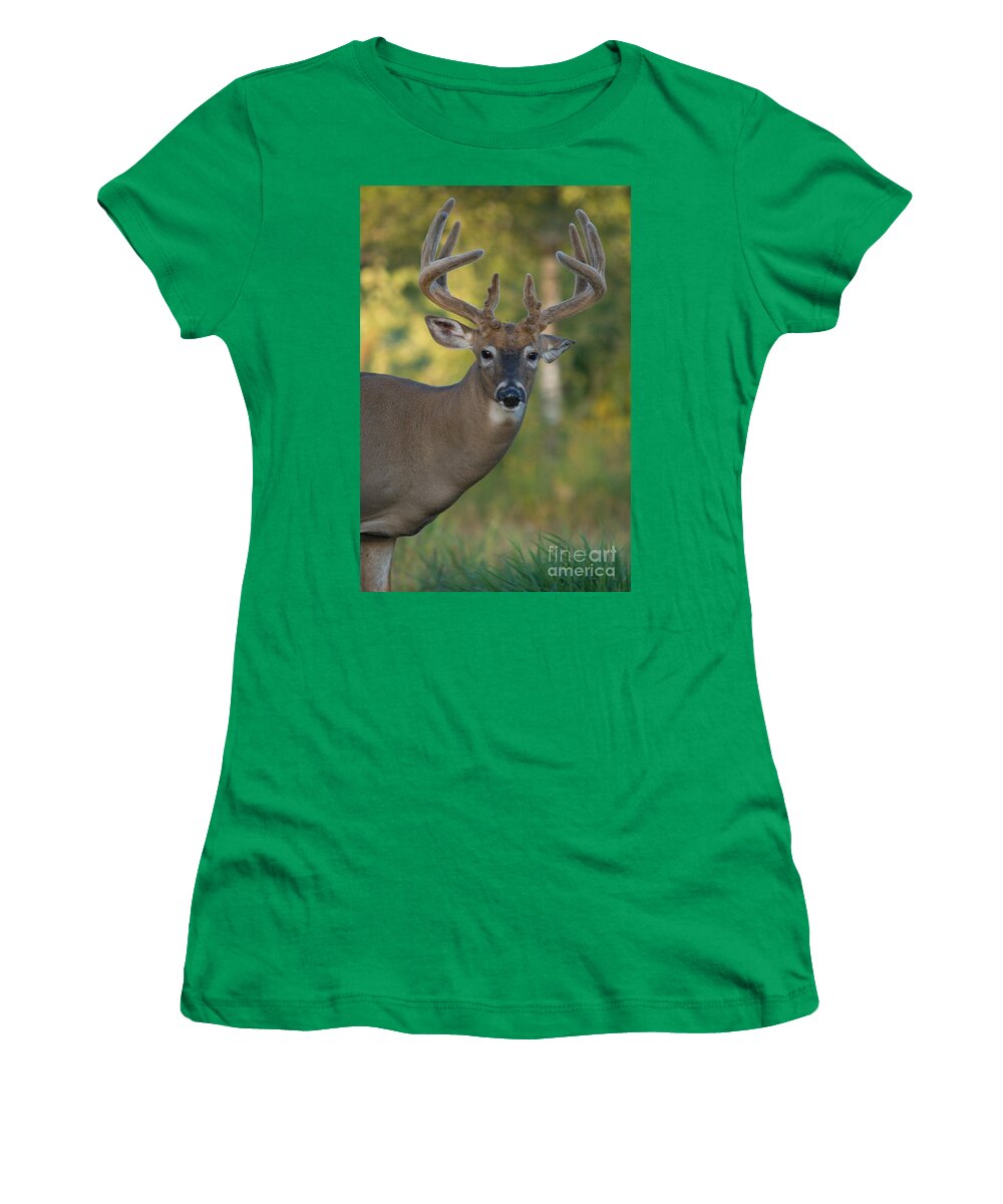 North America Women's T-Shirt featuring the photograph White-tailed Buck #125 by Linda Freshwaters Arndt