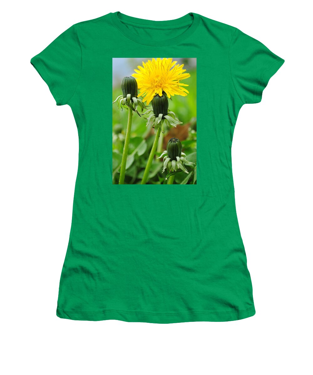 Dandelion Women's T-Shirt featuring the photograph Standing Tall #2 by Frozen in Time Fine Art Photography