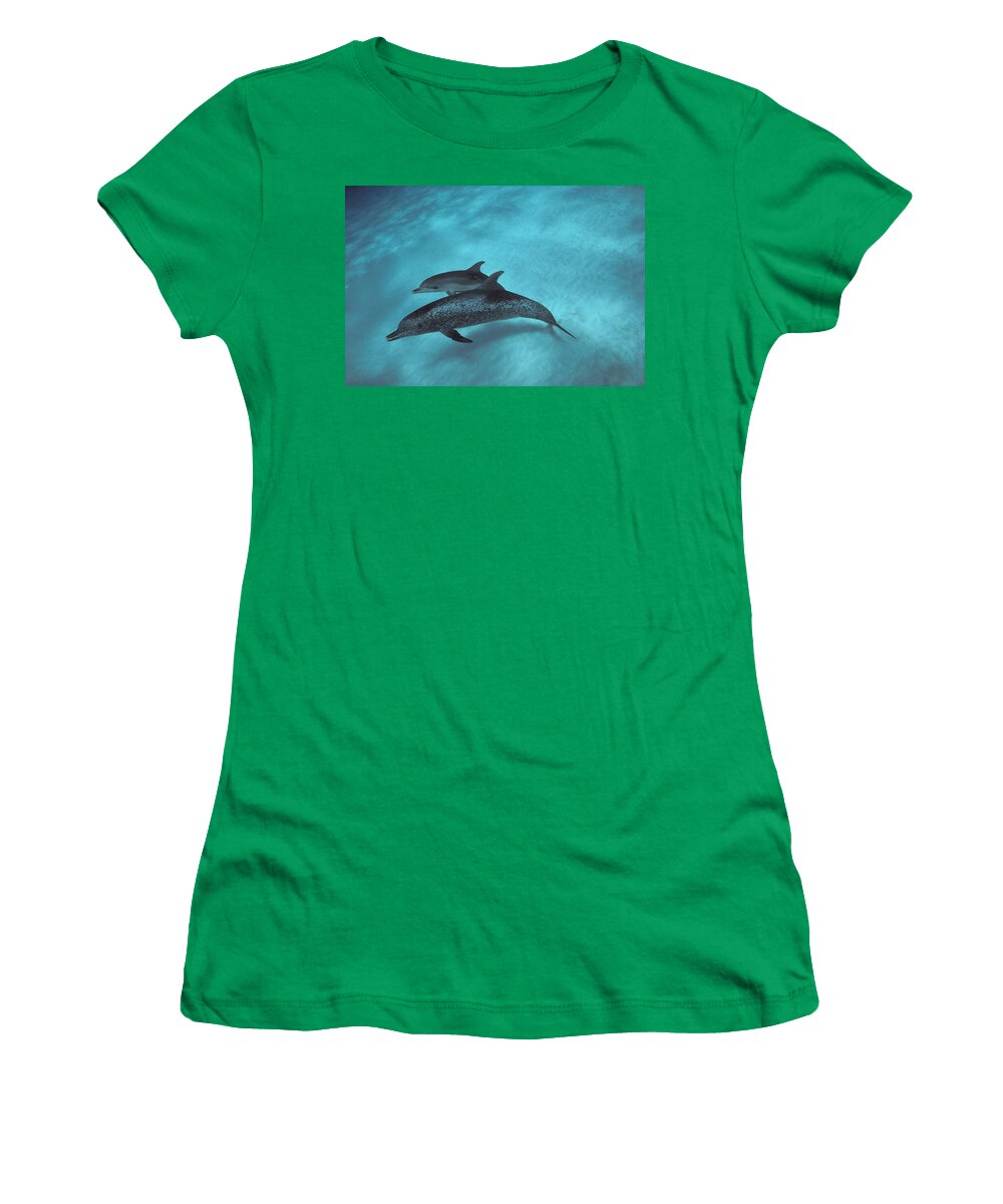 Feb0514 Women's T-Shirt featuring the photograph Atlantic Spotted Dolphin Pair Bahamas #3 by Flip Nicklin