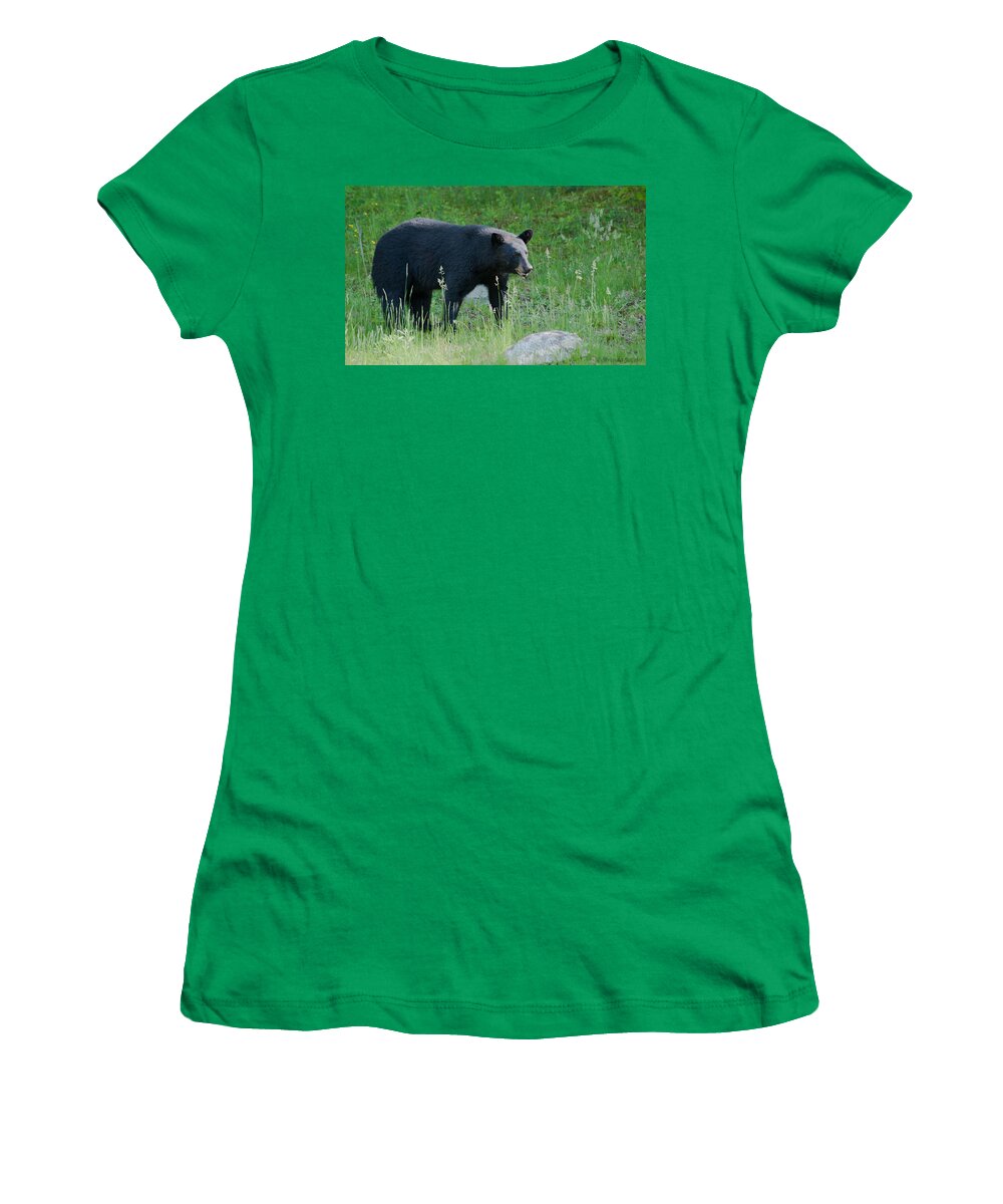 Bear Women's T-Shirt featuring the photograph Black Bear Female by Brenda Jacobs