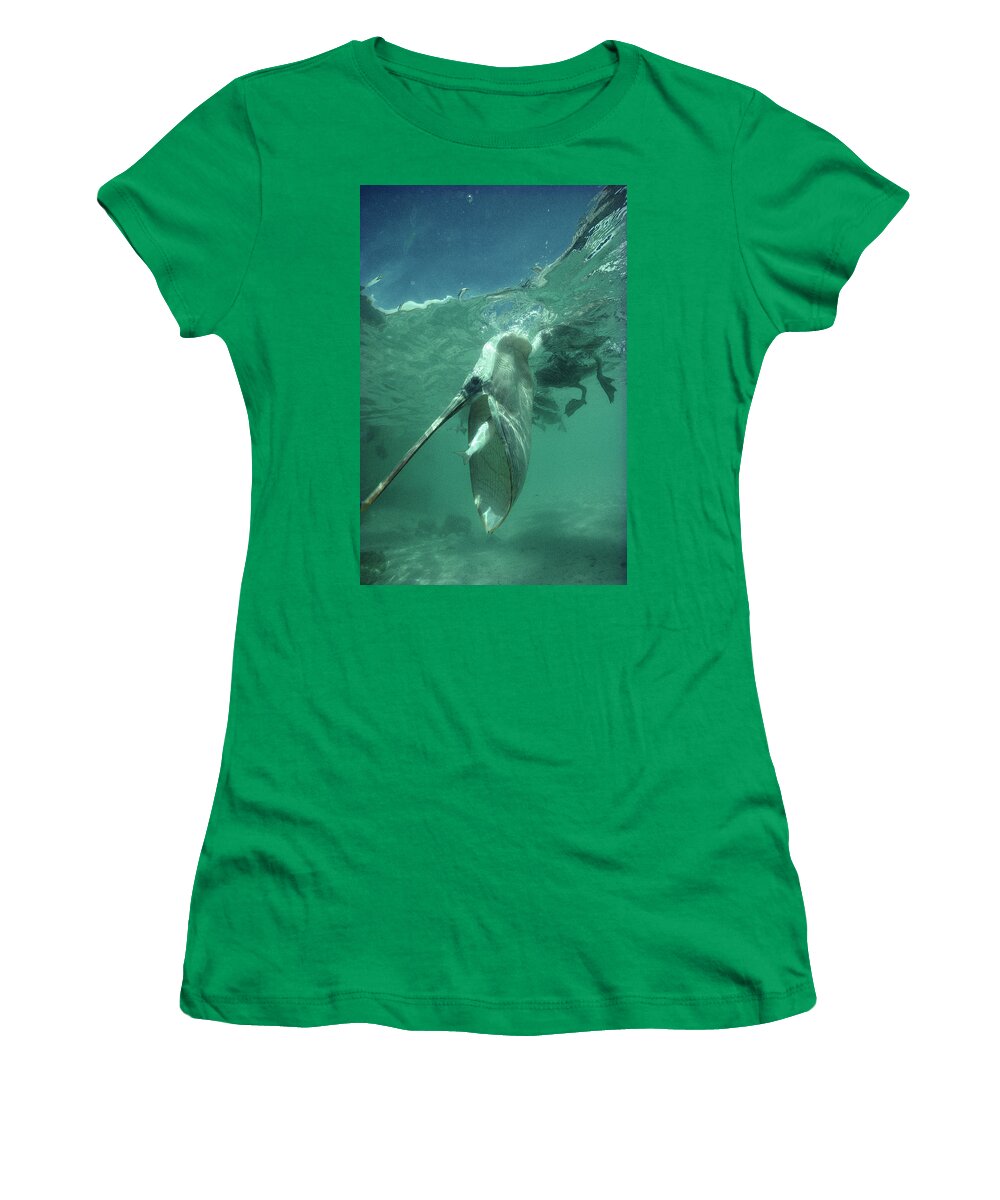 00140047 Women's T-Shirt featuring the photograph Brown Pelican Catching Mullet by Tui De Roy