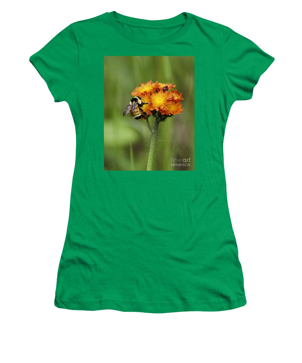 Bumblebee Women's T-Shirt featuring the photograph Bumble and Hawk by Jan Killian