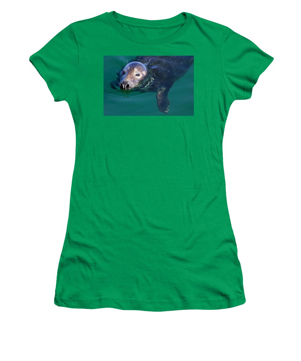 Seal Women's T-Shirt featuring the photograph Chatham Harbor Seal by Stuart Litoff