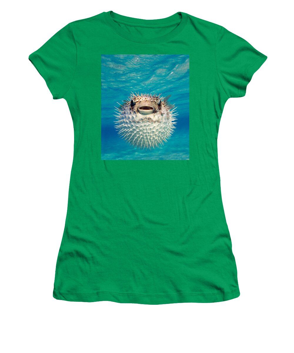 Photography Women's T-Shirt featuring the photograph Close-up Of A Puffer Fish, Bahamas by Panoramic Images