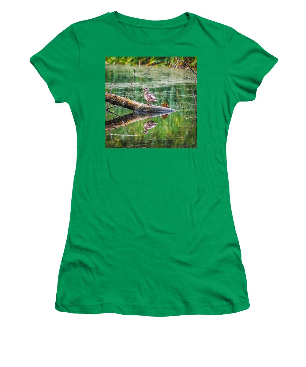 Reflection Women's T-Shirt featuring the photograph Does This Make My Tail Look Big by Paul Freidlund