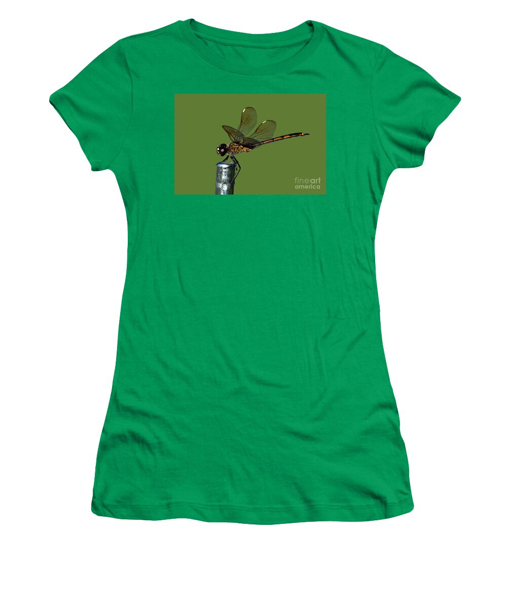 Dragonfly Women's T-Shirt featuring the photograph Dragonfly by Meg Rousher