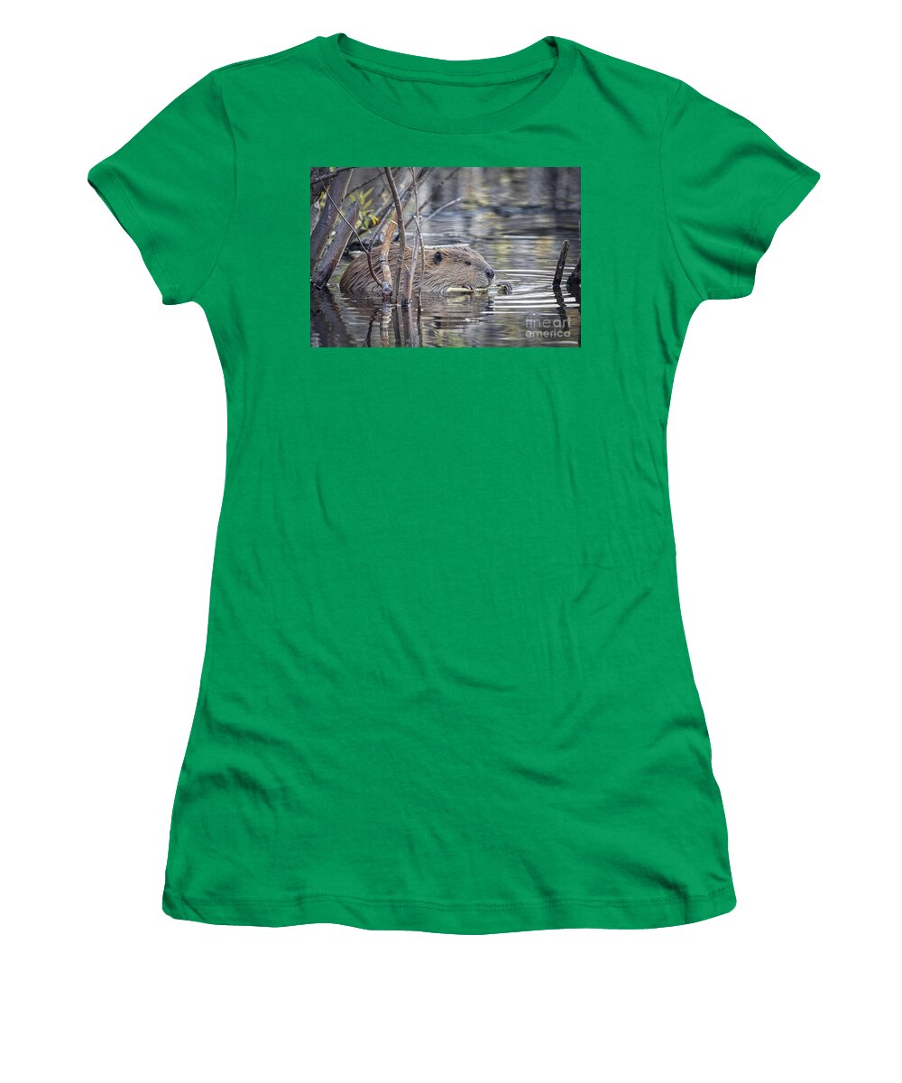 2012 Women's T-Shirt featuring the photograph Eating Bark by Ronald Lutz