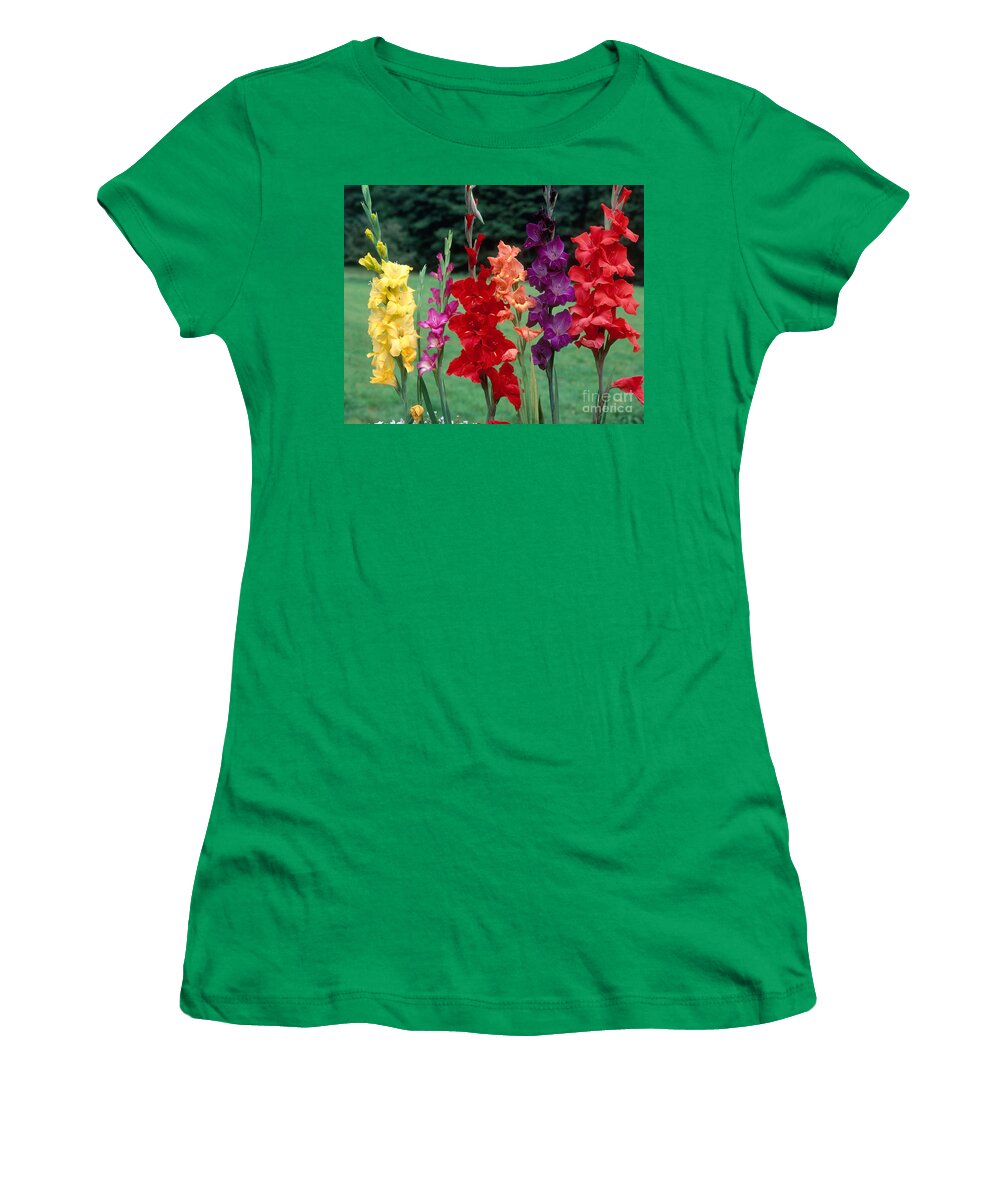 Angiosperm Women's T-Shirt featuring the photograph Gladiolus by Hans Reinhard