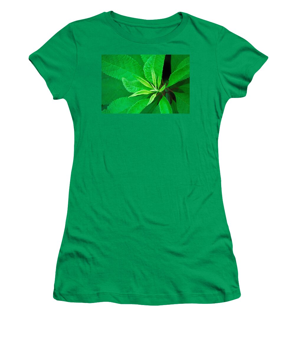 Green Women's T-Shirt featuring the photograph Green by Ludwig Keck