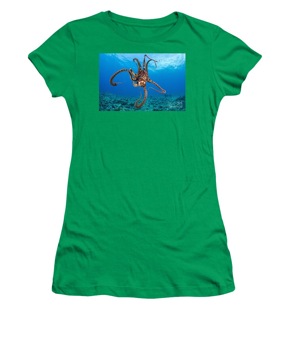 Blue Women's T-Shirt featuring the photograph Hawaii, Day Octopus _Octopus Cyanea_. by Dave Fleetham