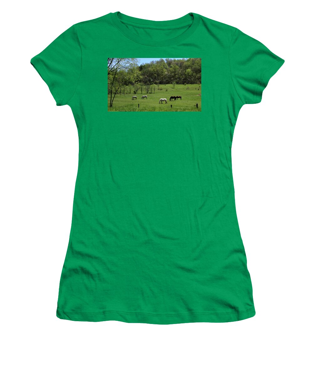 Green Pasture Women's T-Shirt featuring the photograph Horse 27 by David Yocum