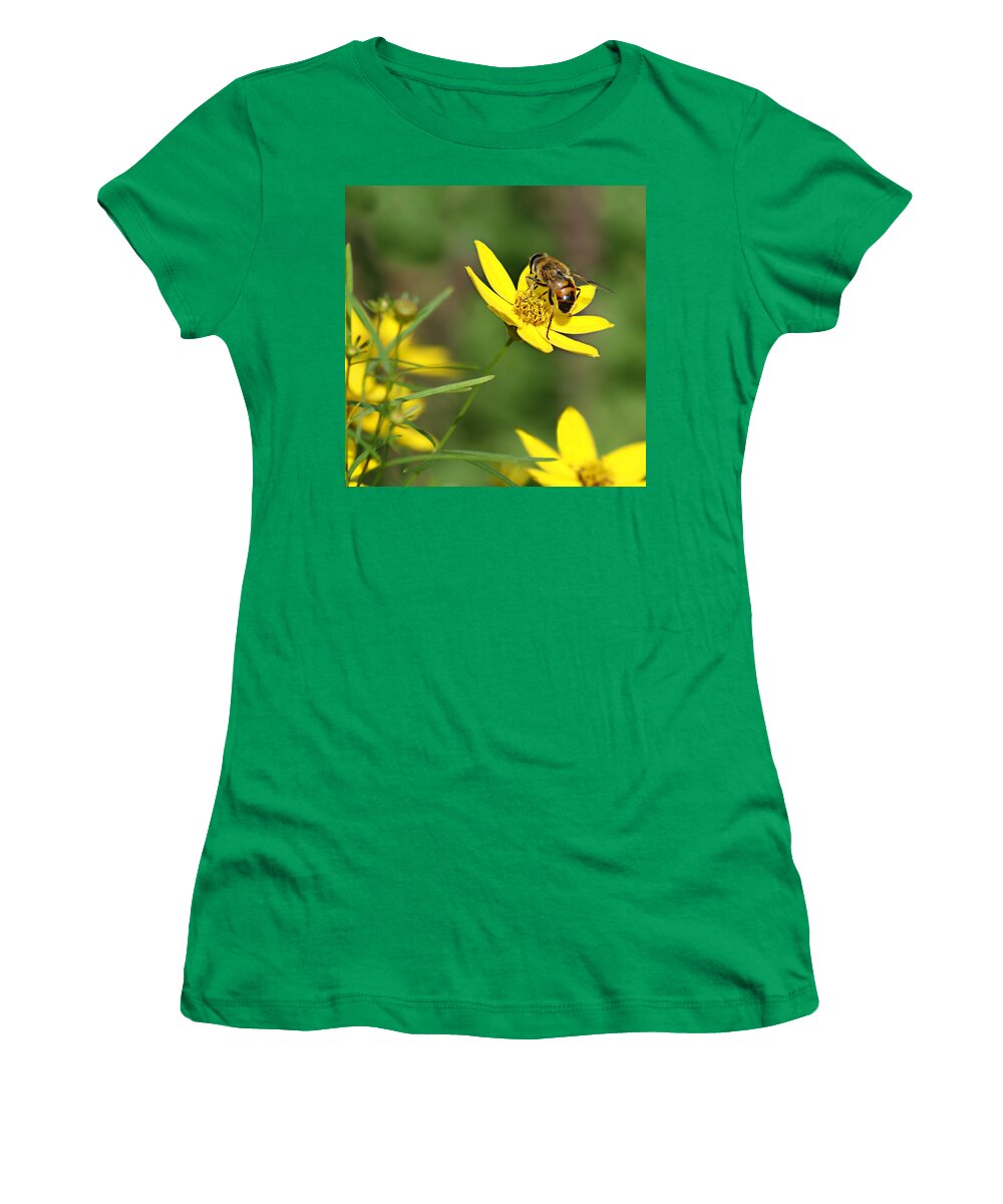 Bee Women's T-Shirt featuring the photograph L'Abeille by Nikolyn McDonald