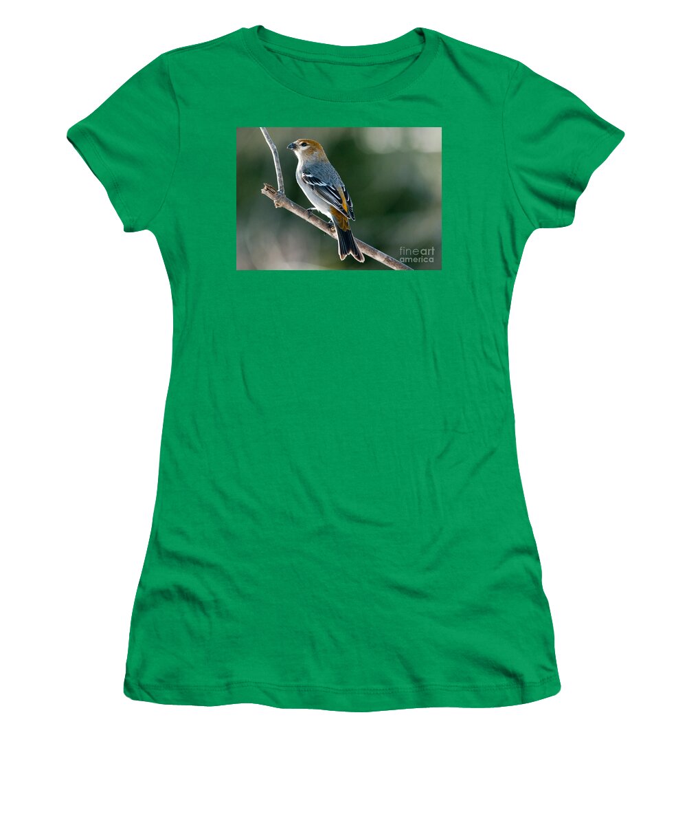 Pine Grosbeak Women's T-Shirt featuring the photograph Mrs. Pine Grosbeak by Cheryl Baxter