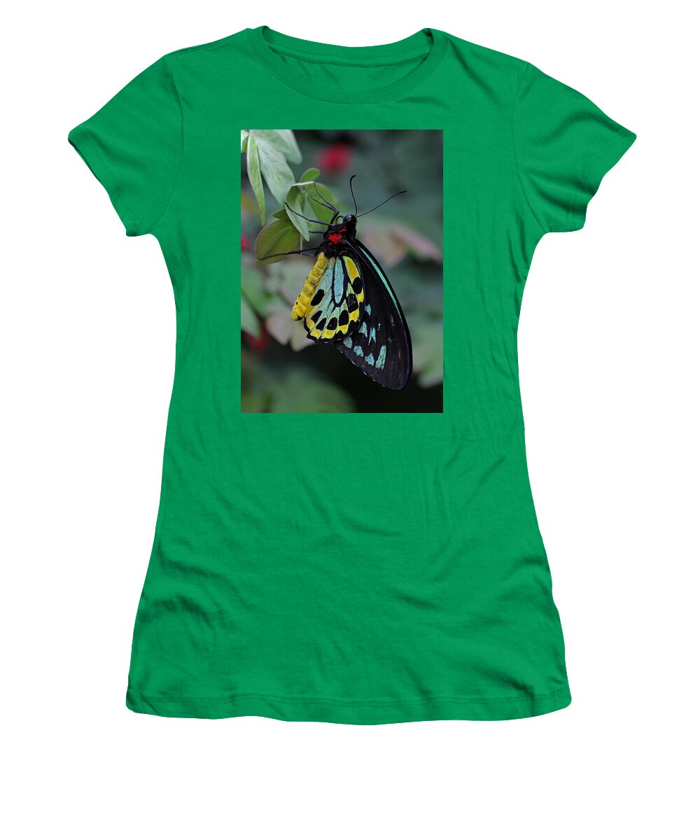 Butterfly Women's T-Shirt featuring the photograph Natural Awakenings by Juergen Roth