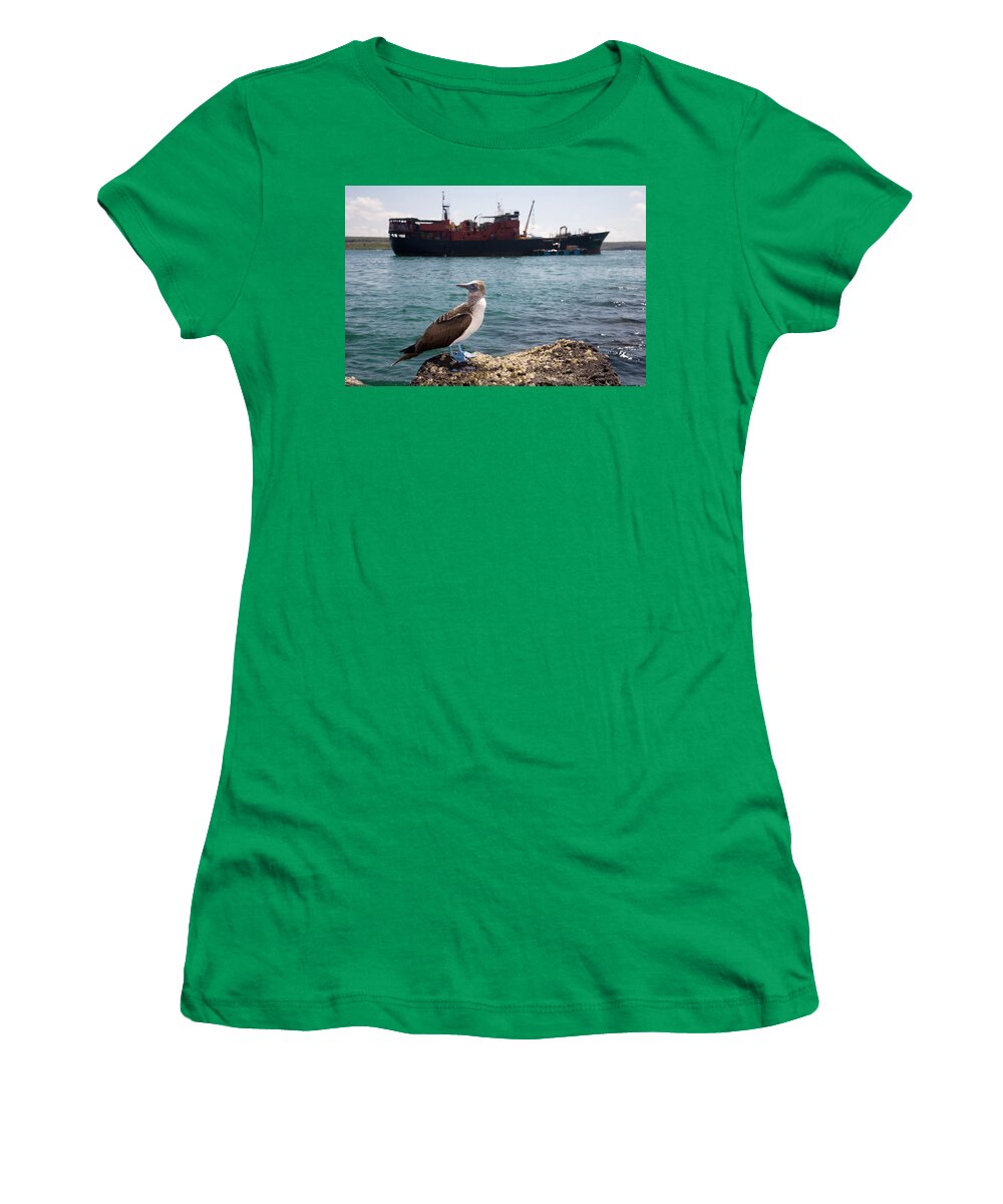 Bird Women's T-Shirt featuring the photograph One Of The Galapagos Most Iconic by Eric Rorer