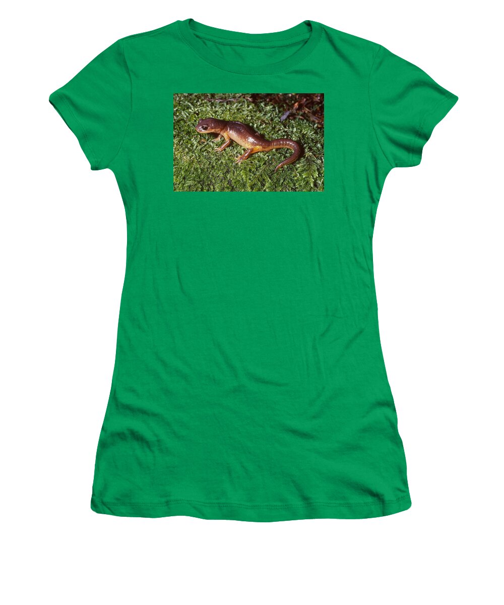 Amphibia Women's T-Shirt featuring the photograph Painted Salamander by Karl H. Switak