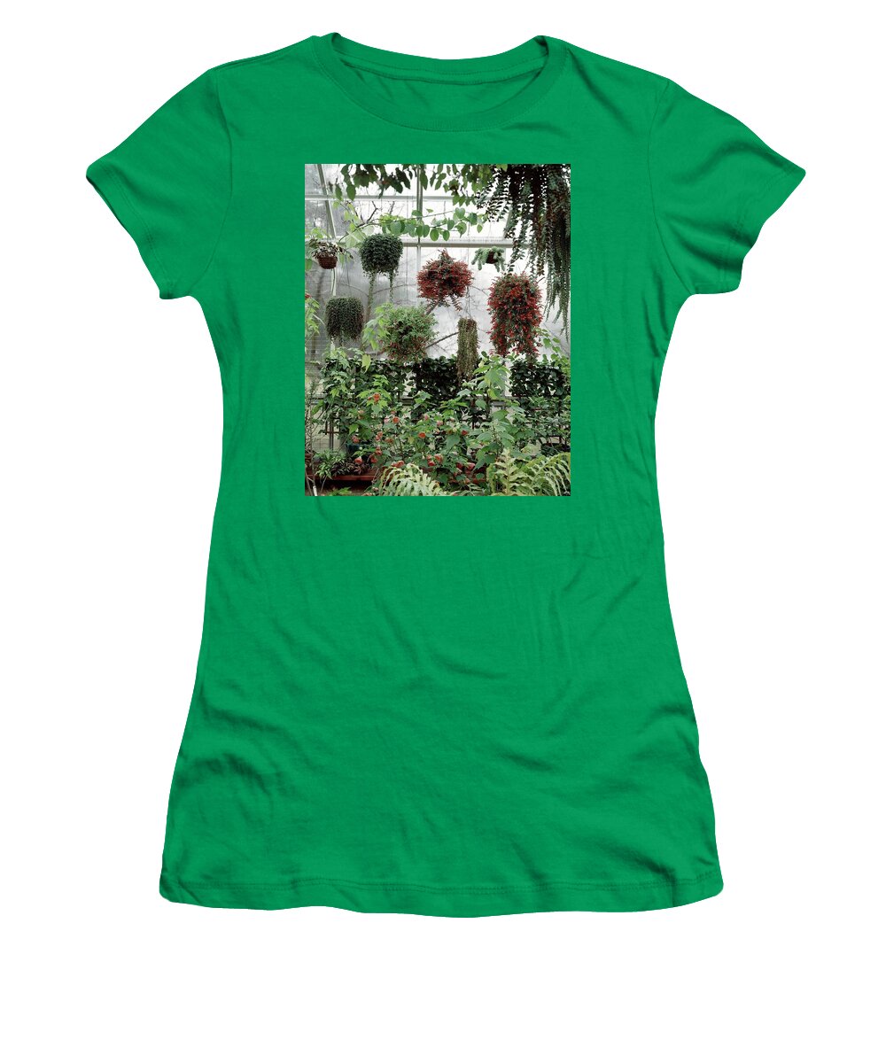 Indoors Women's T-Shirt featuring the photograph Plants Hanging In A Greenhouse by Wiliam Grigsby