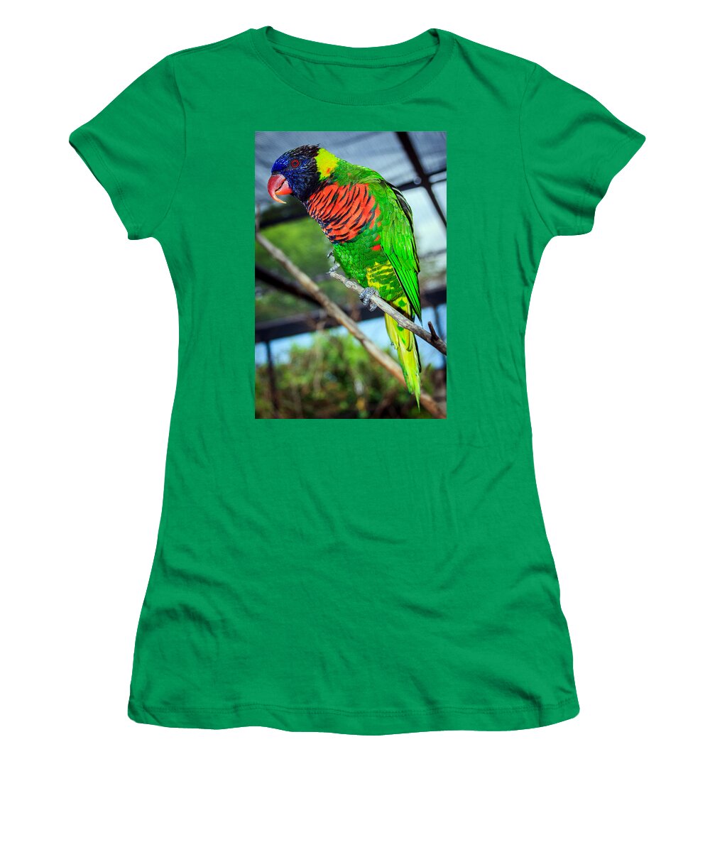 Rainbow Lory Women's T-Shirt featuring the photograph Rainbow Lory by Sennie Pierson