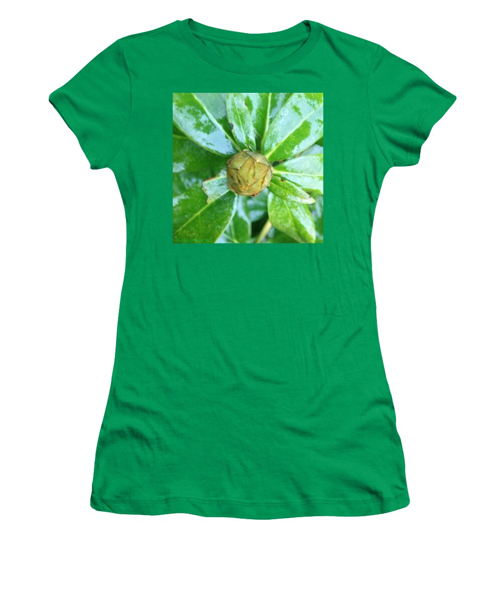 Nothingisordinary_ Women's T-Shirt featuring the photograph Slippery, Green And Wet! Rhododendron by Anna Porter