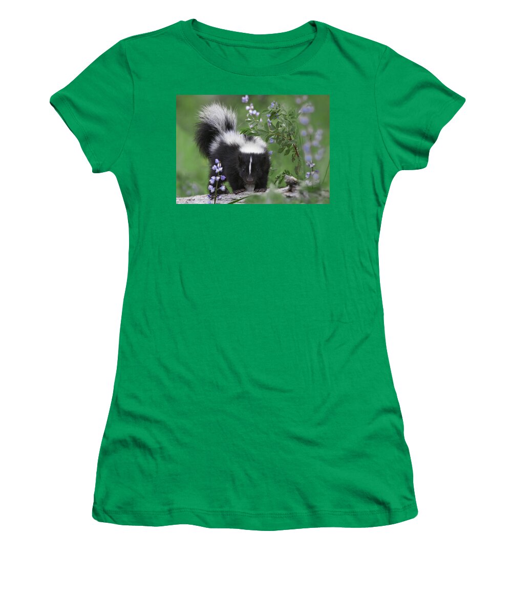 00176522 Women's T-Shirt featuring the photograph Striped Skunk Kit by Tim Fitzharris