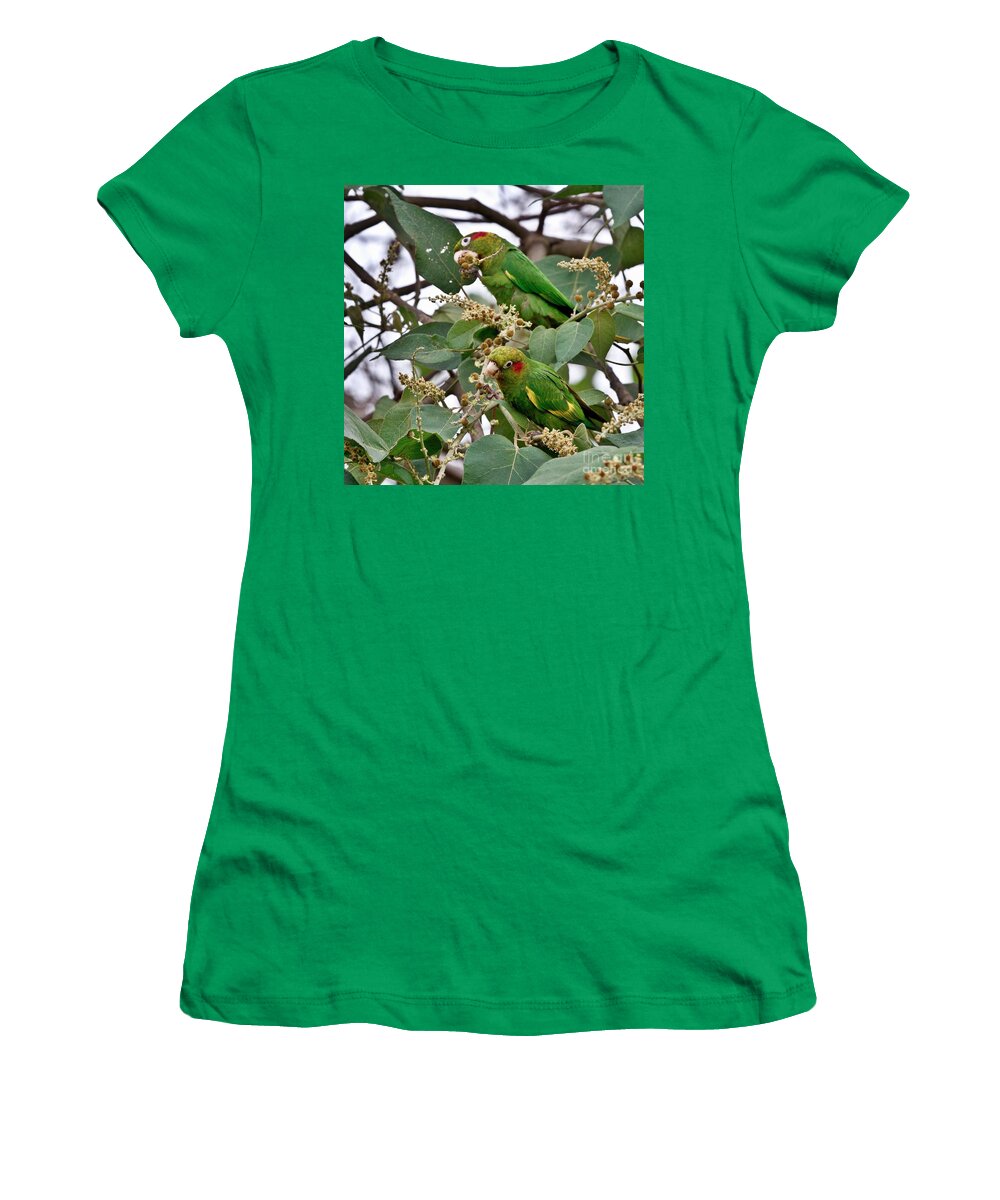 Parrot Women's T-Shirt featuring the photograph Sulfur-Winged Parakeets by Heiko Koehrer-Wagner