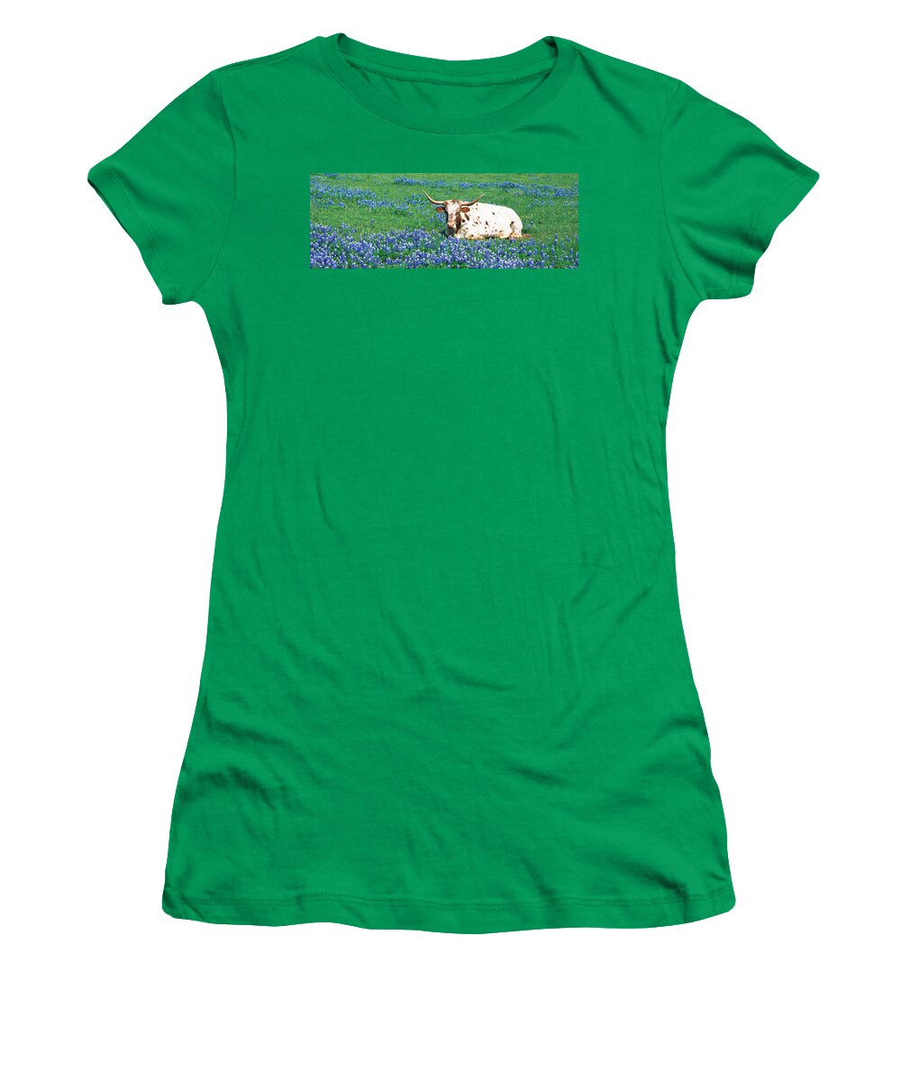 Photography Women's T-Shirt featuring the photograph Texas Longhorn Cow Sitting On A Field by Panoramic Images