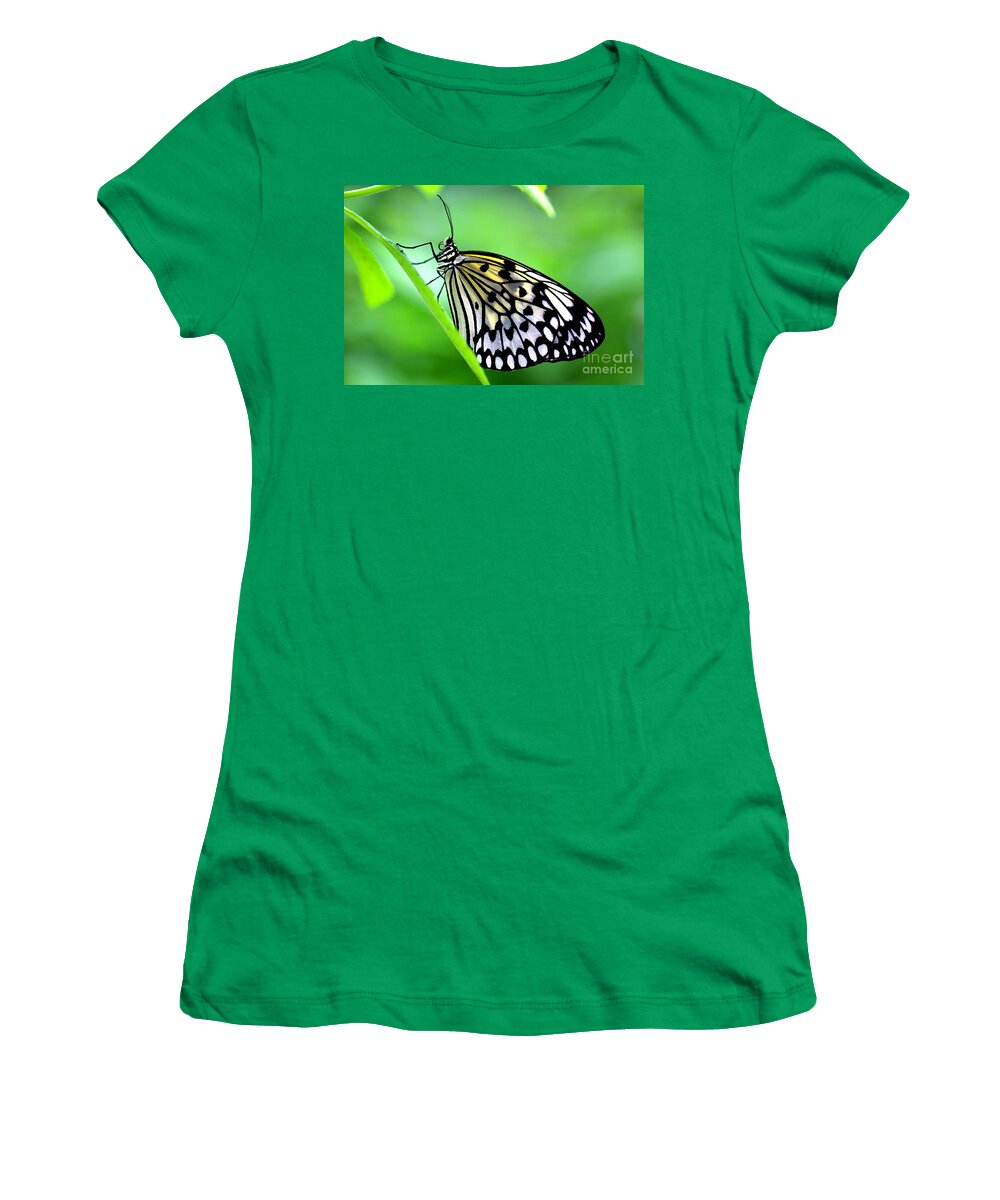 Butterfly Women's T-Shirt featuring the photograph The Paper Kite or Rice Paper or Large Tree Nymph butterfly also known as Idea leuconoe by Amanda Mohler