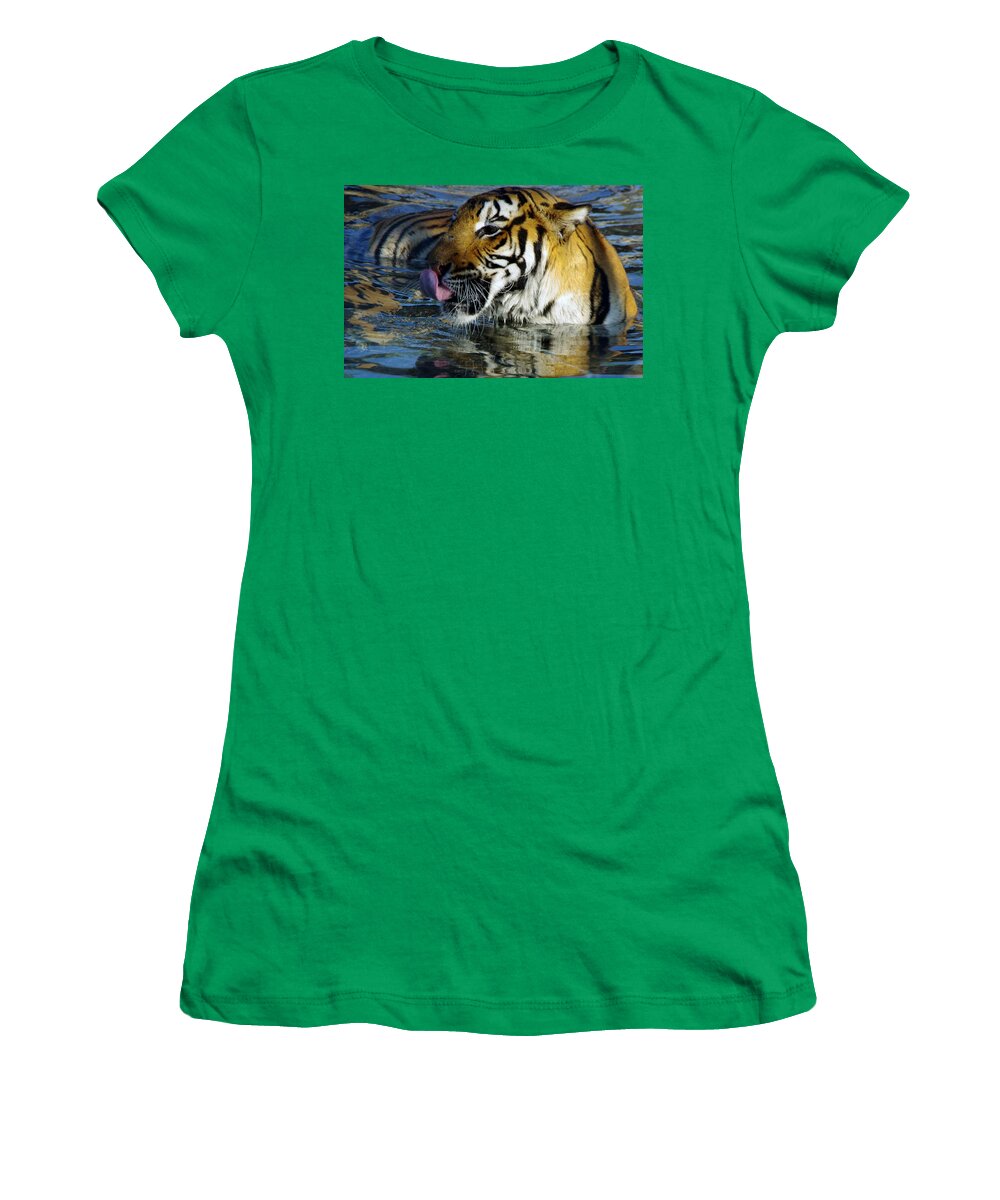 Lions Women's T-Shirt featuring the photograph Tiger by Phyllis Spoor