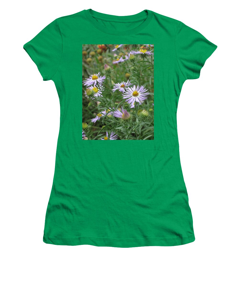 Asters Women's T-Shirt featuring the photograph Uplifted Asters by Ron Monsour