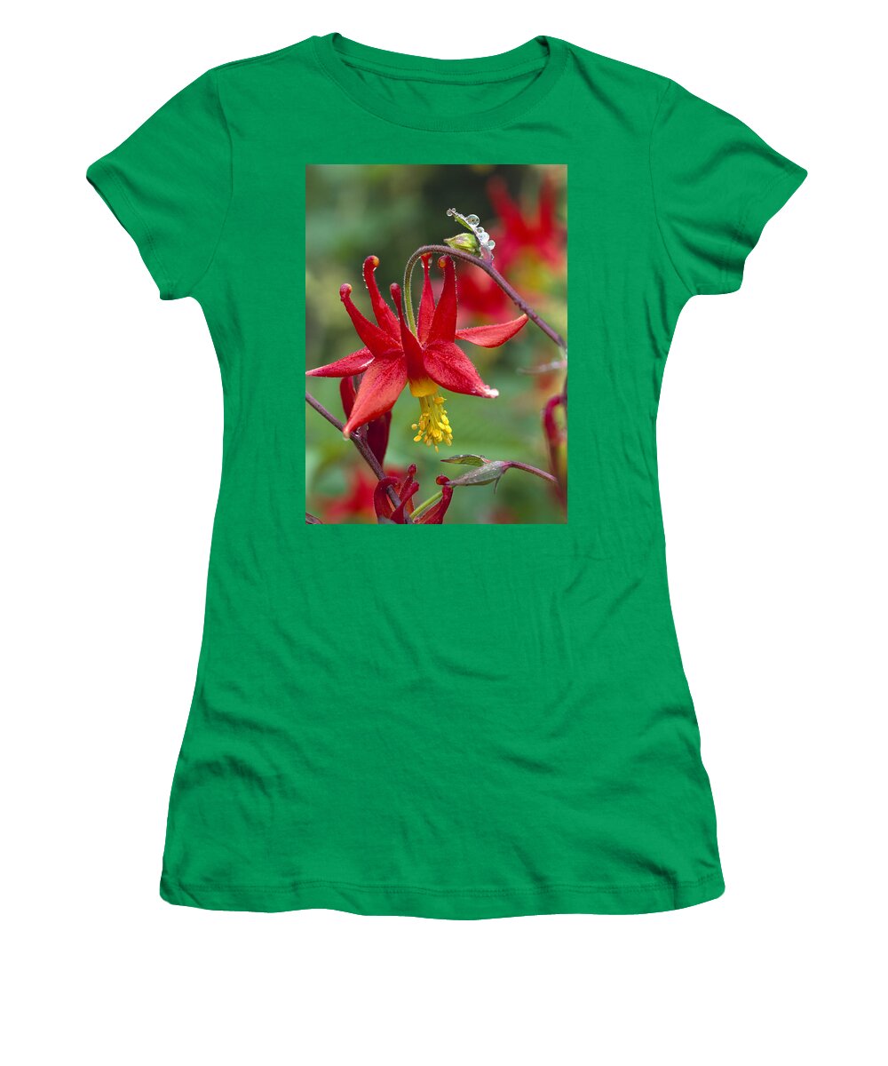 Feb0514 Women's T-Shirt featuring the photograph Wild Columbine With Drops Of Dew by Tim Fitzharris
