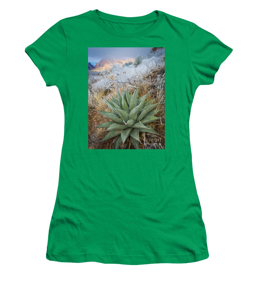 Agave Americana Women's T-Shirt featuring the photograph Winter Morning in the Chisos by Inge Johnsson