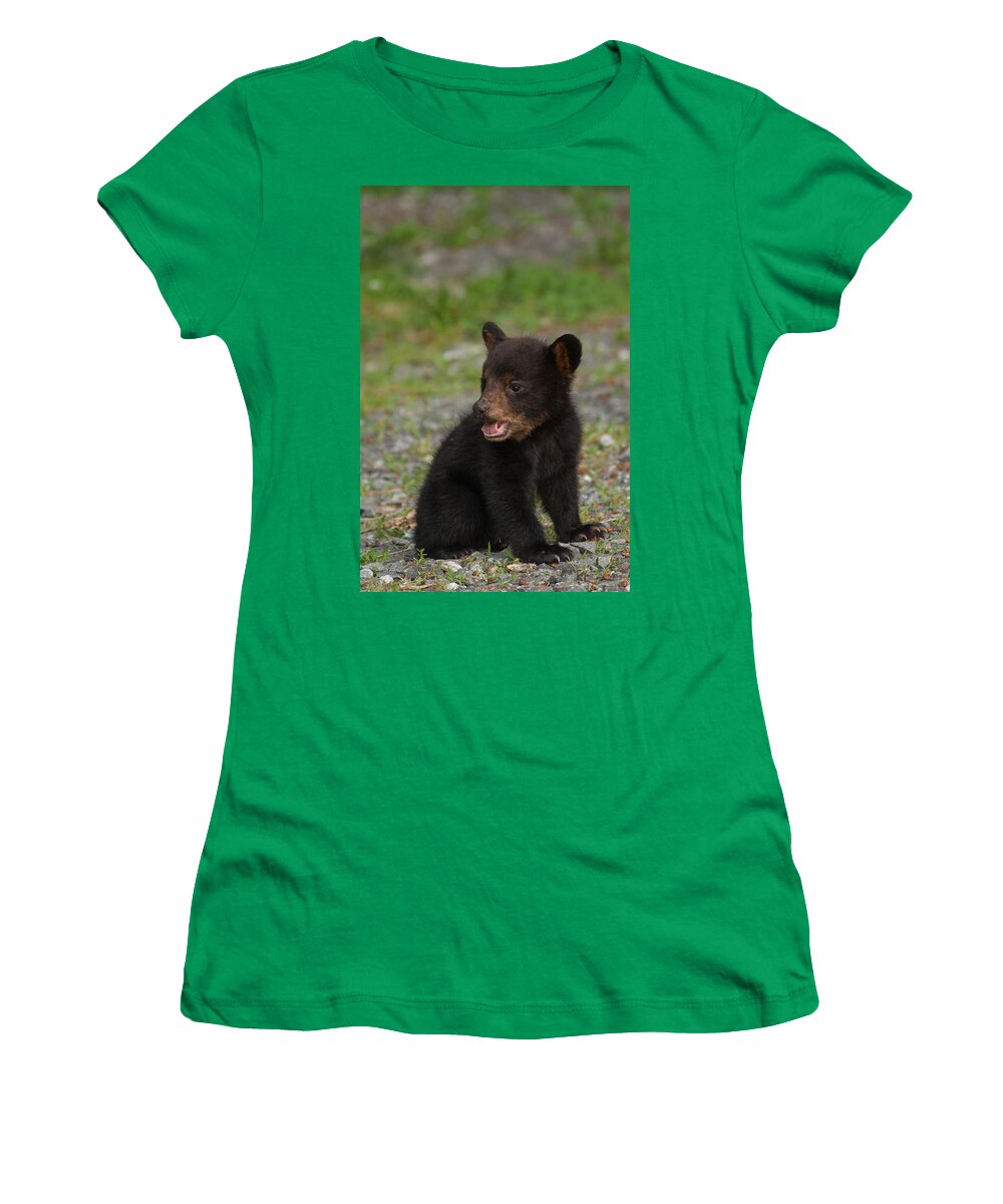 Summer Women's T-Shirt featuring the photograph Yawning Bear Cub by Joye Ardyn Durham