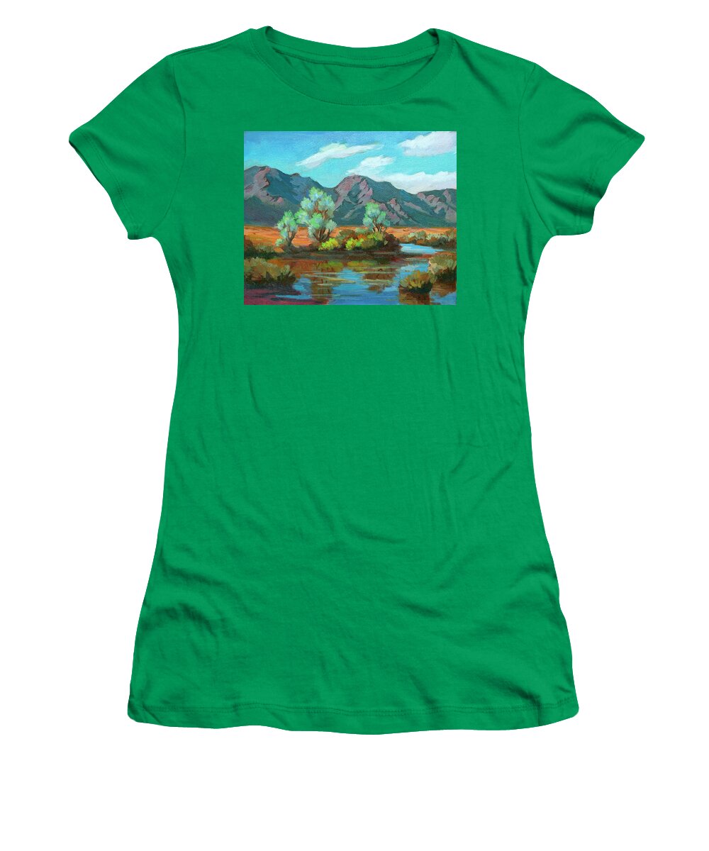 After The Rain Women's T-Shirt featuring the painting After the Rain by Diane McClary