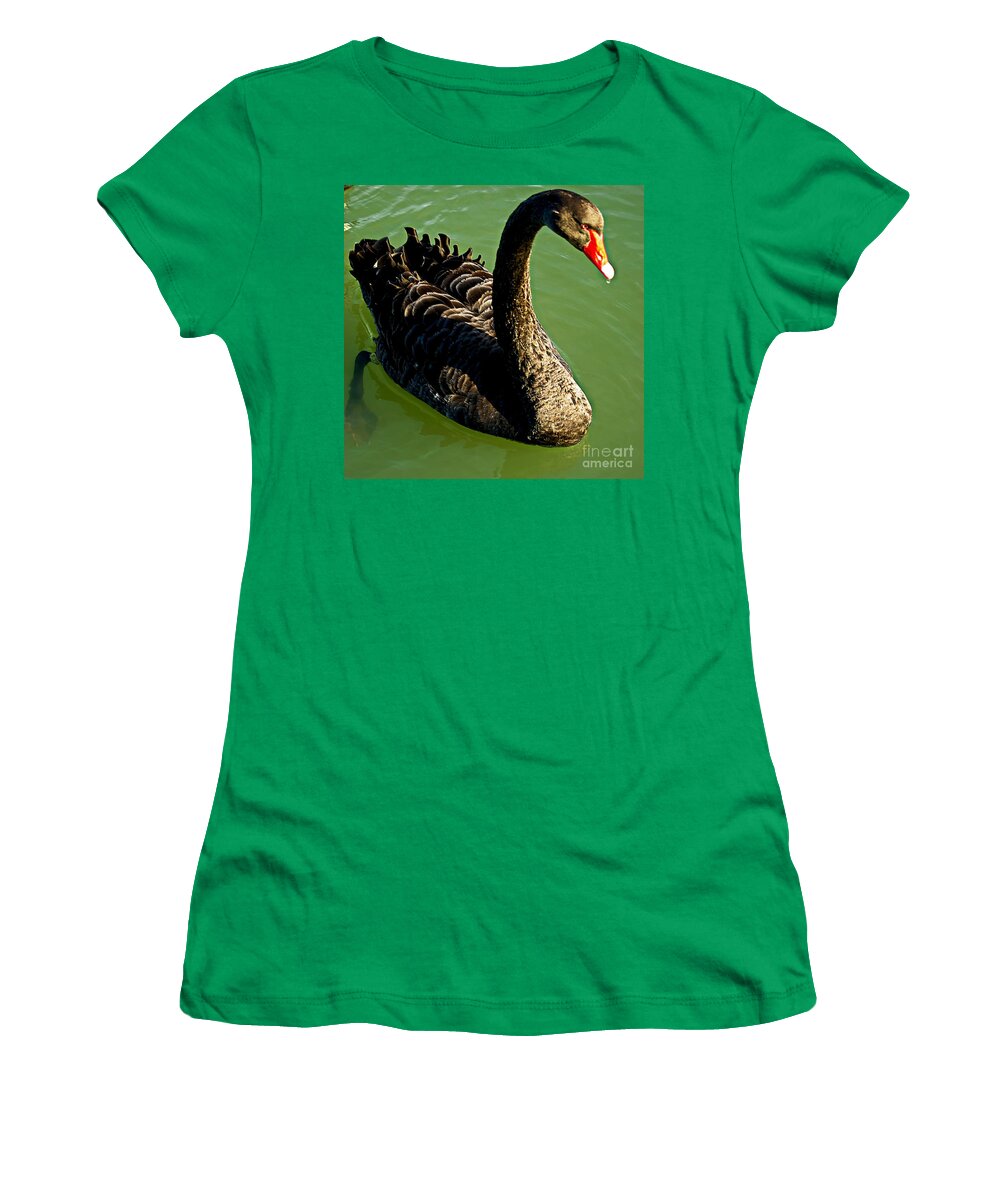 Blair Women's T-Shirt featuring the photograph Australian Black Swan by Blair Stuart