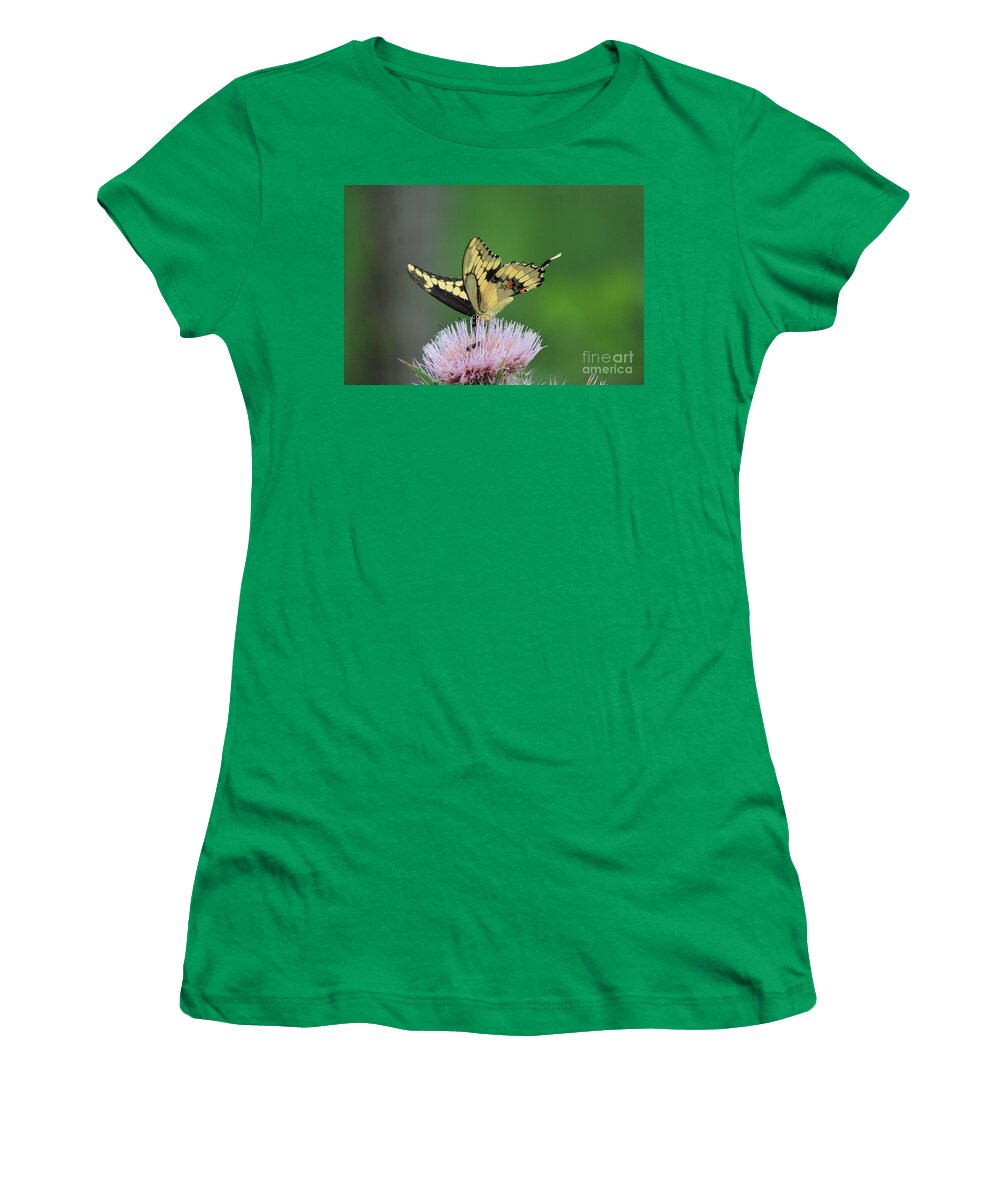Butterfly Women's T-Shirt featuring the photograph Butterflies Are Free by Kathy White