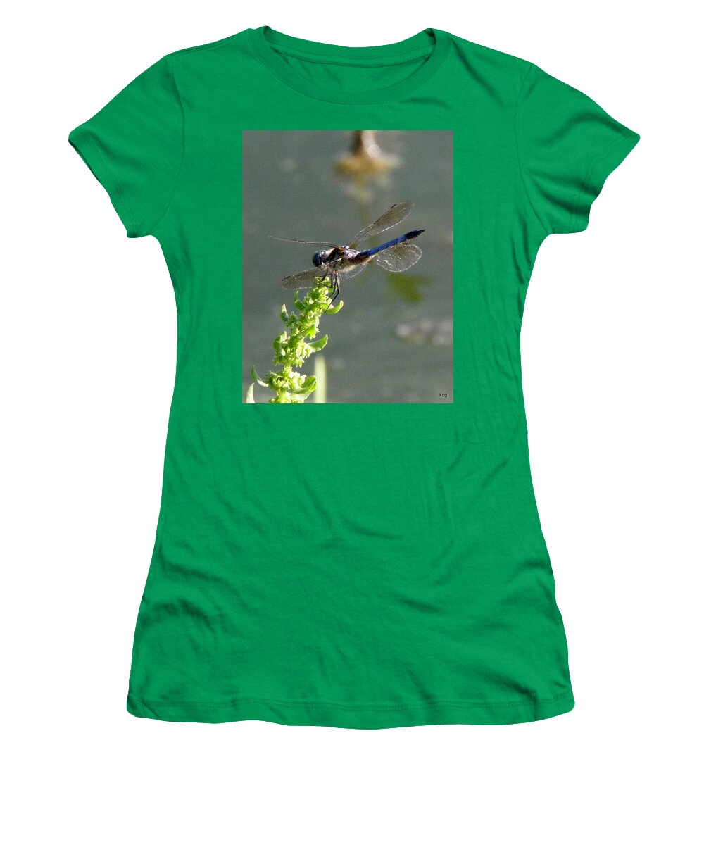 Dragon Women's T-Shirt featuring the photograph Dragon Beauty In Blue by Kim Galluzzo