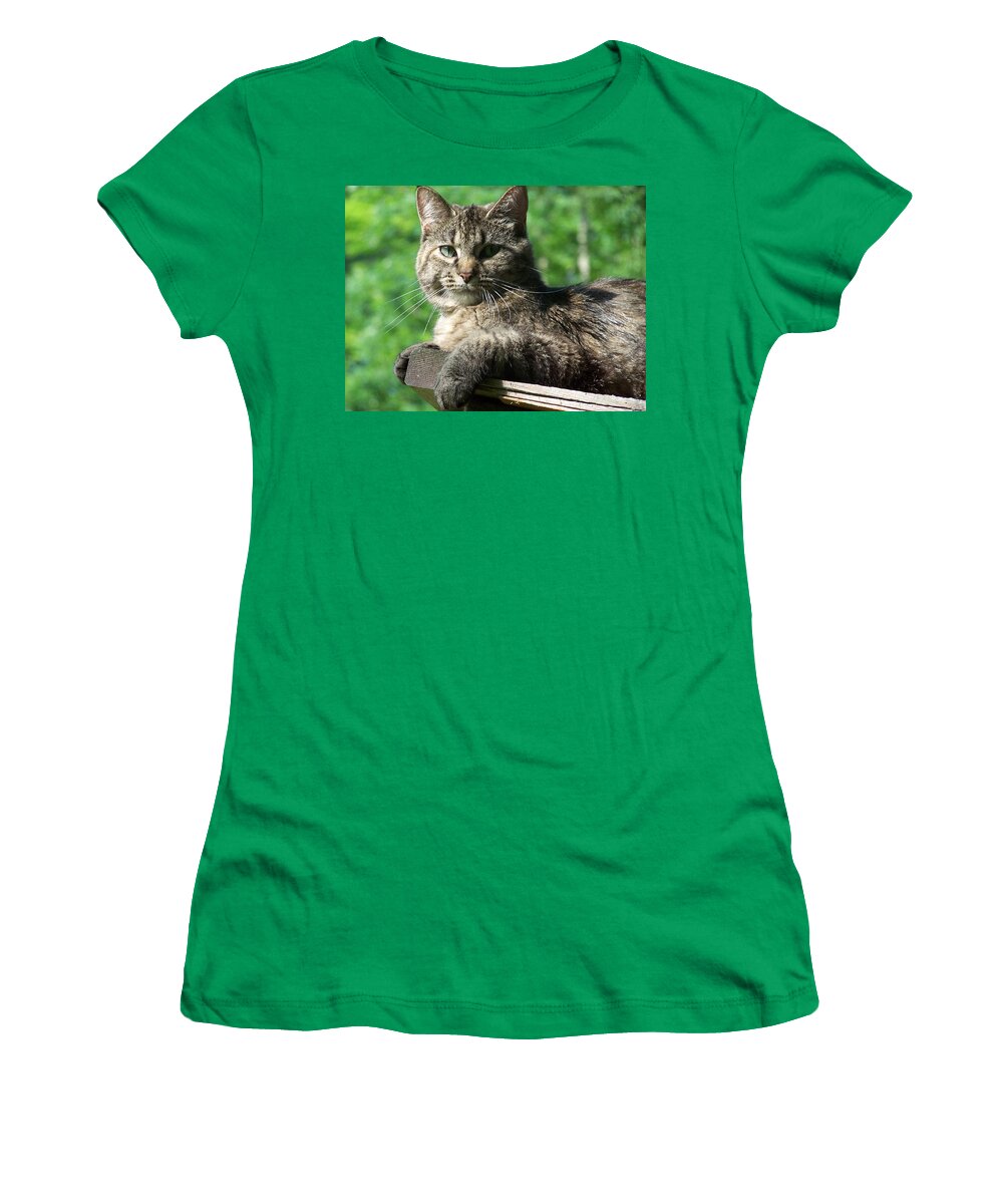 Cat Women's T-Shirt featuring the photograph Echoe 3 by Kim Galluzzo
