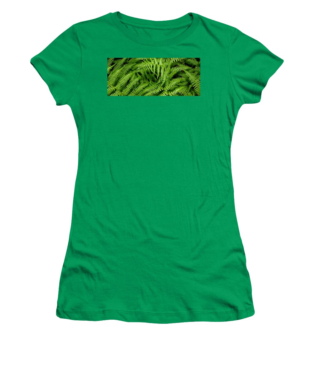 Ferns Women's T-Shirt featuring the photograph Ferns by Kim Galluzzo