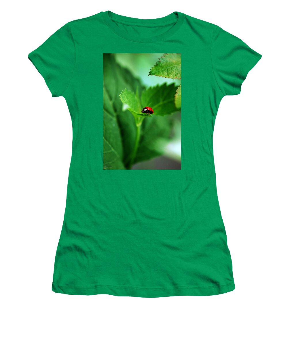 Ladybug Women's T-Shirt featuring the photograph Little Red Lady by Lori Tambakis