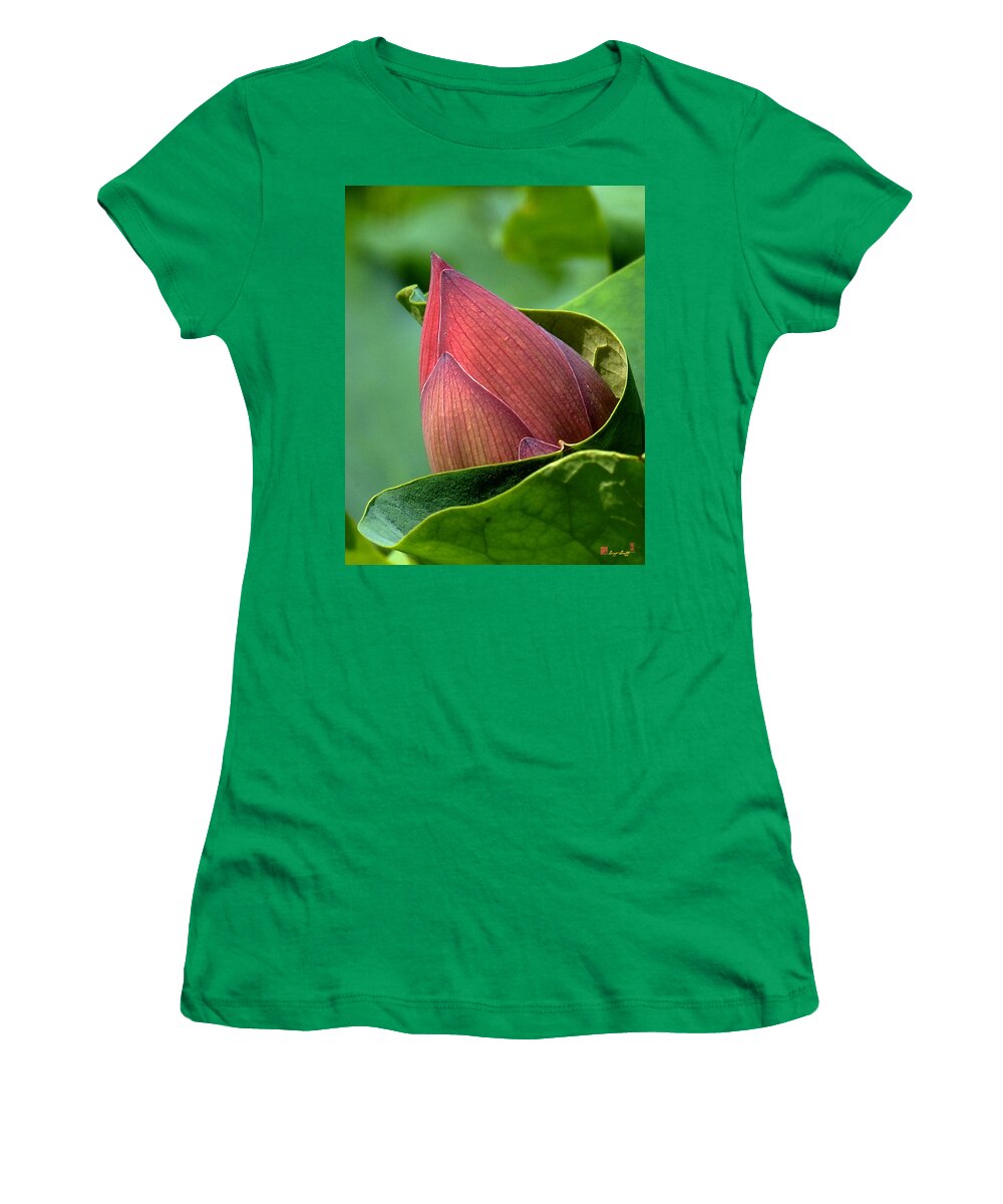 Nature Women's T-Shirt featuring the photograph Lotus Bud--Bud in a Blanket DL049 by Gerry Gantt