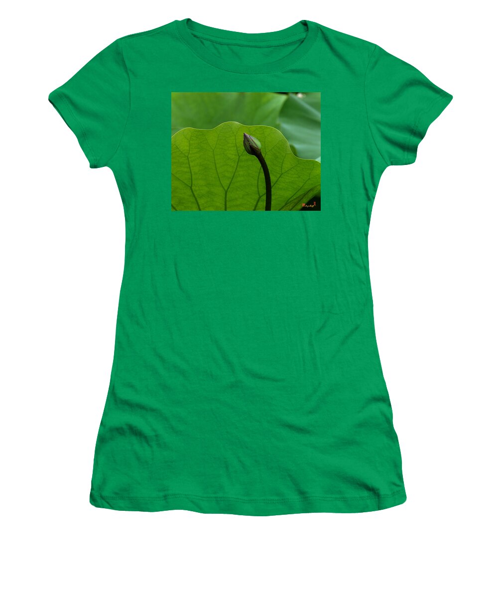 Nature Women's T-Shirt featuring the photograph Lotus-Sheltering the Future DL032 by Gerry Gantt