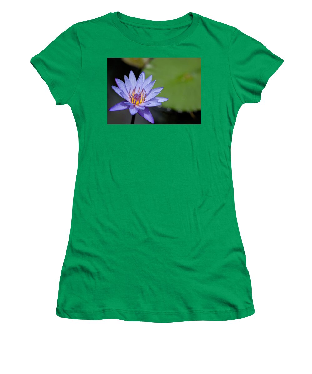 Hawaii Women's T-Shirt featuring the photograph Lyon Arboretum Water Lily by Dan McManus